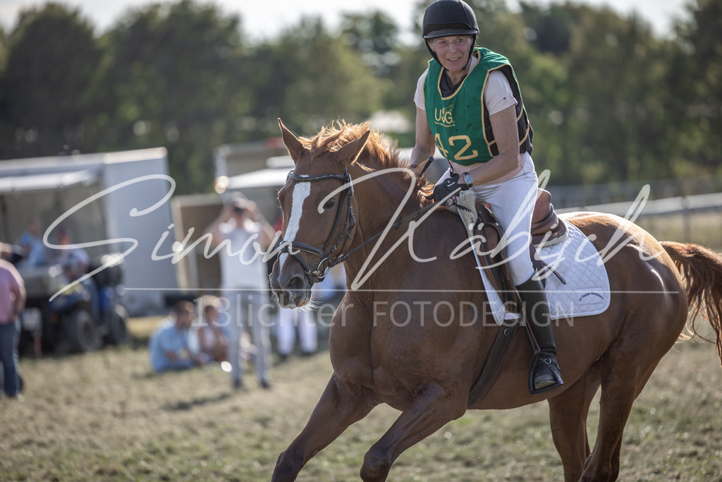 20250907-_3LI4437 | Tierfotografie Pferde, Hunde, Katzen, Haustiere.
Turnierfotografie Reitturniere, Reiten, Springreiten, Dressur in Hanau, dem Main-Kinzig-Kreis und dem Rhein-Main- Gebiet um Frankfurt