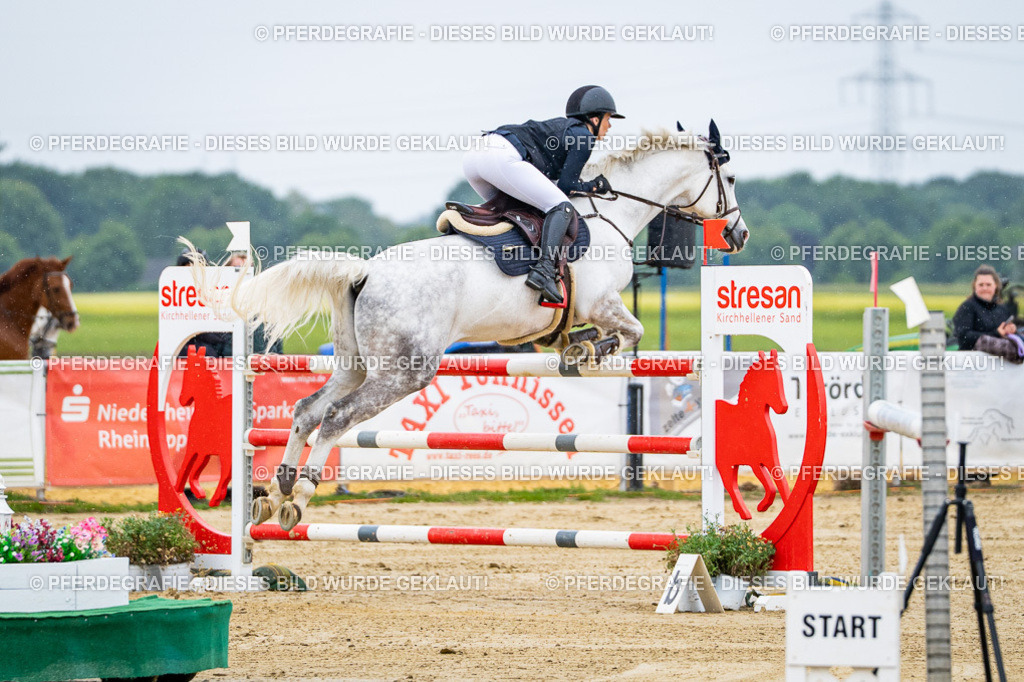 DSC07697 | Pferdegrafie