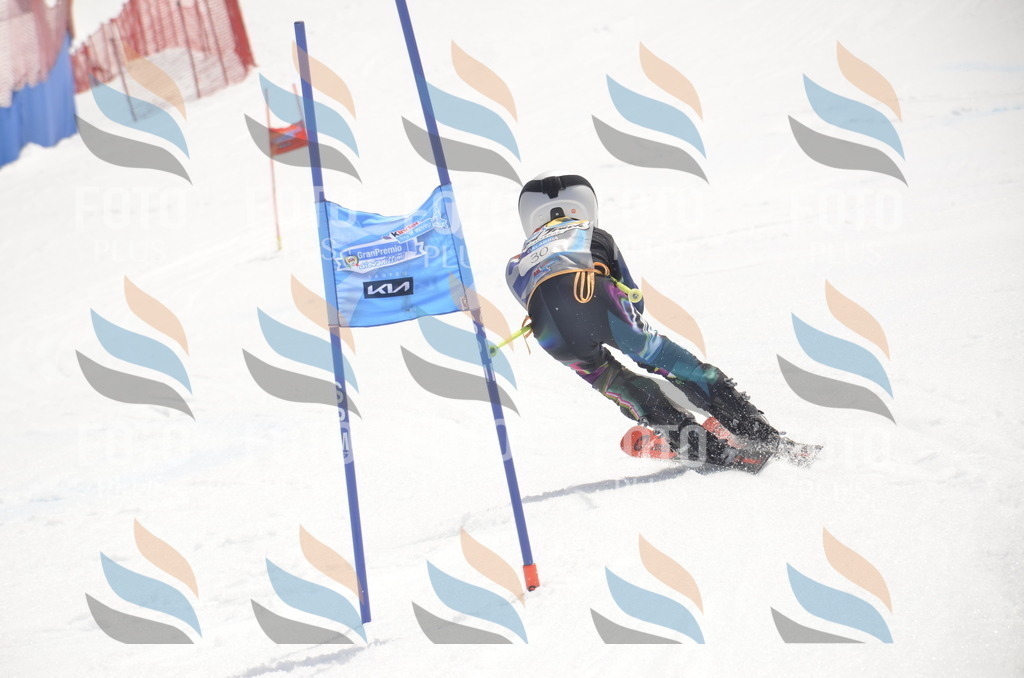 _ELE8922 | holidayphoto