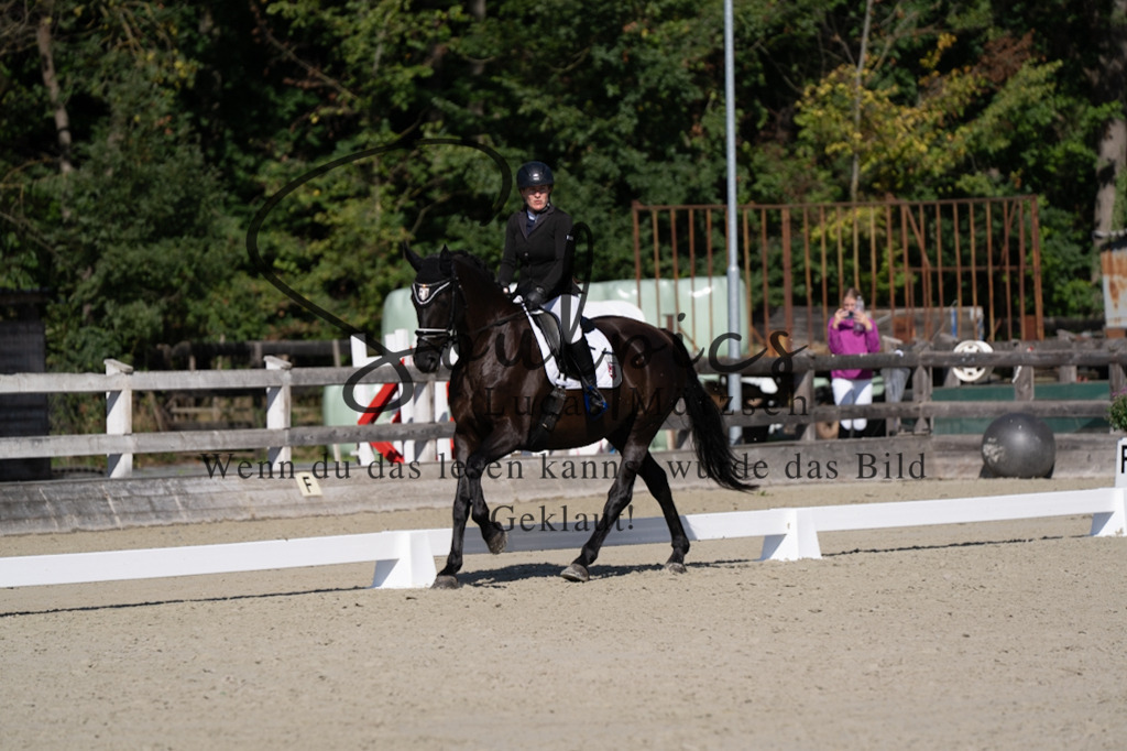 A7V06989 | Turnier/Reitfotograf