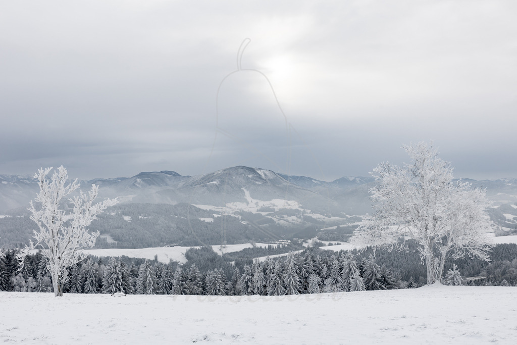 Franzenreith Frost  | Ihre Fotografin im Lungau, ihre Fotografin im Mostviertel, Wandbilder Onlineshop, Imagefotos für Ihr Unternehmen,  - Realisiert mit Pictrs.com