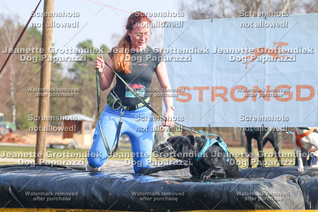 Dog Paparazzi - Strongdog North Mrz26-2176 | Dog Paparazzi Jeanette Grottendiek Fotografie & Videografie - Realisiert mit Pictrs.com