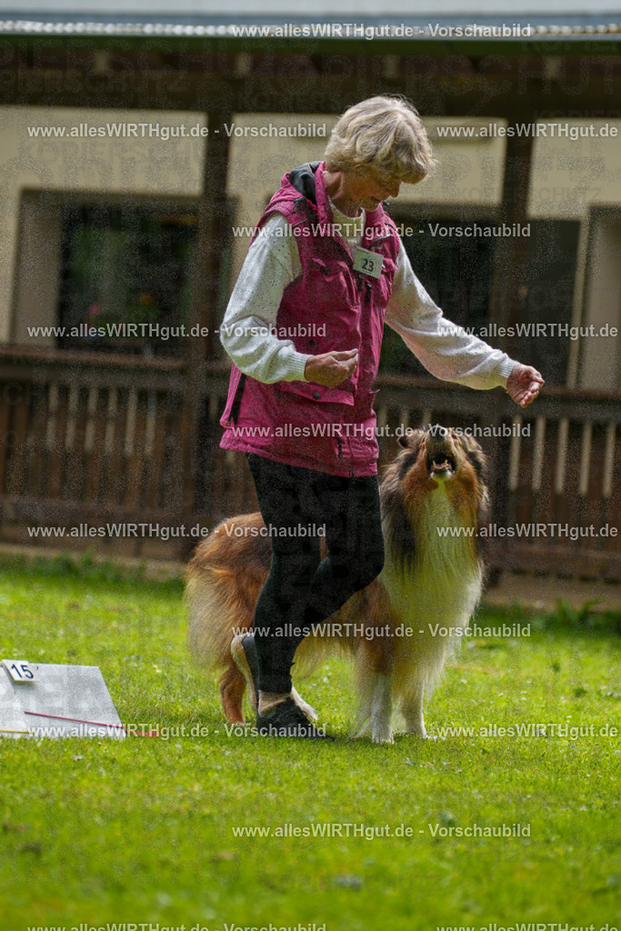 @allesWIRTHgut_Tierfotografie - www.allesWIRTHgut.de - 095153-7R507761 | Professionelle Tierfotografie in Mönchengladbach von Daniel Wirth (allesWIRTHgut). Liebevolle & natürliche Bilder von Hunden & Katzen für unvergessliche Erinnerungen.
