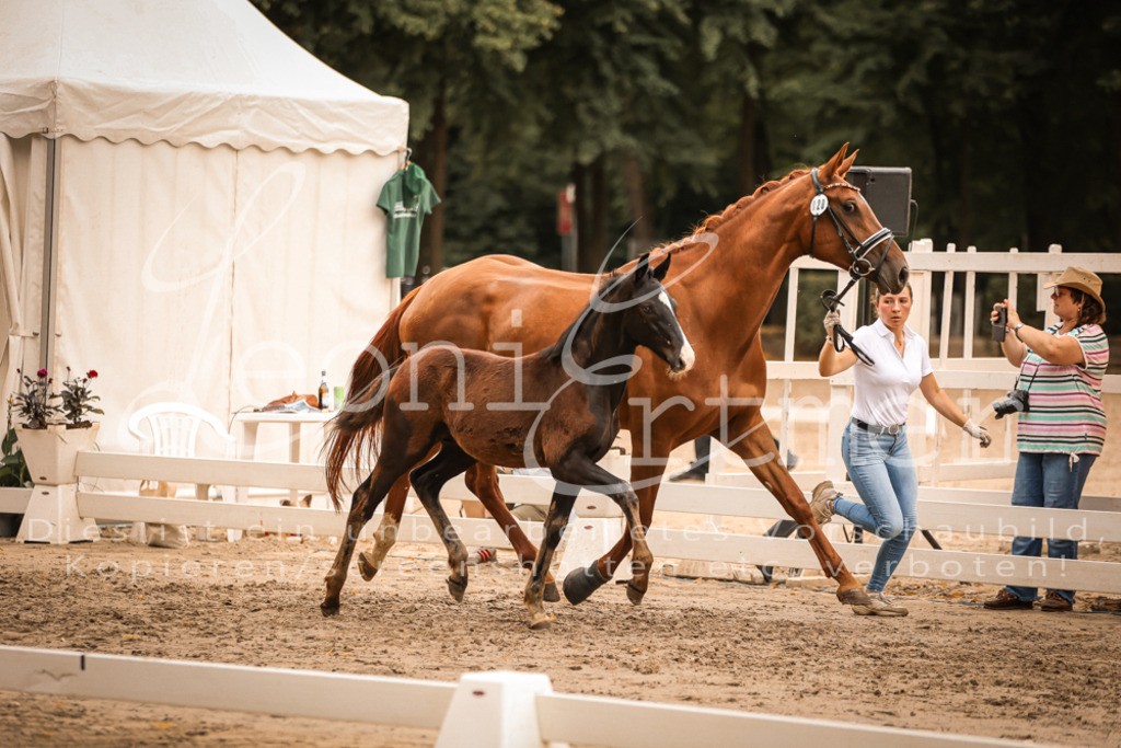 SaPA00296 | Leoni Ertmer Photography - Realisiert mit Pictrs.com