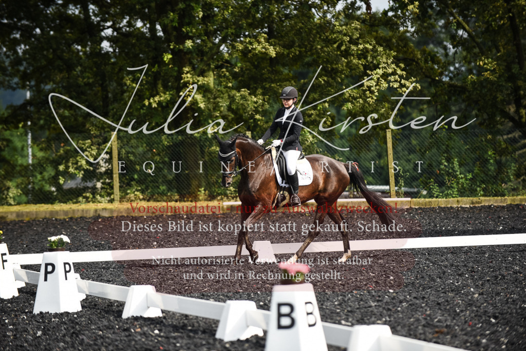 DSC_3019 | Pferde- und Turnierfotografie in Westsachsen. Pferdeportraits, Auftragszeichnungen und intuitive Kunst.