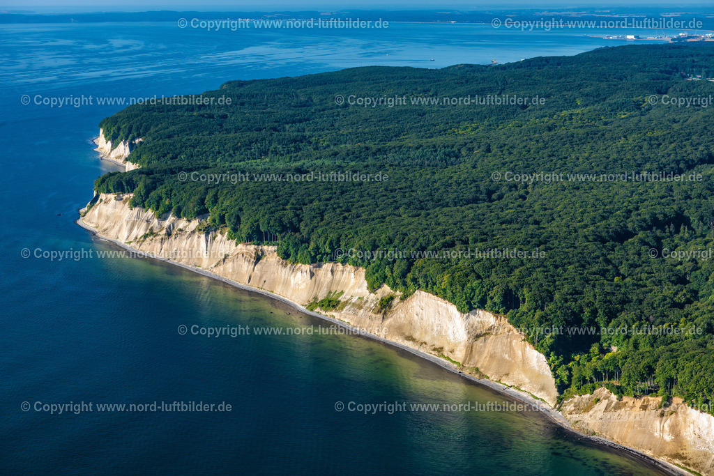 Kreidefelsen_Rügen_Els_7073100822 | SASSNITZ 10.08.2022 Blick auf die Kreideküste im Nationalpark Jasmund bei Sassnitz auf der Insel Rügen in Mecklenburg-Vorpommern. Der markante Felsvorsprung Königsstuhl befindet sich in der Umgebung der Stubbenkammer in dem seit 1990 bestehenden Nationalpark am Ufer zur Ostsee mit einem Buchenwald, der teilweise zum UNESCO-Welterbe gehört. // View of the chalk cliff coast in the National Park Jasmund near Sassnitz on the island Ruegen in Mecklenburg-West Pomerania. Foto: Martin Elsen
