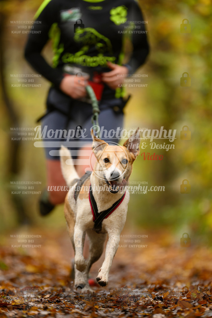 MompixPhotography_CD7S_DI_CCL-36 | mompixphotography