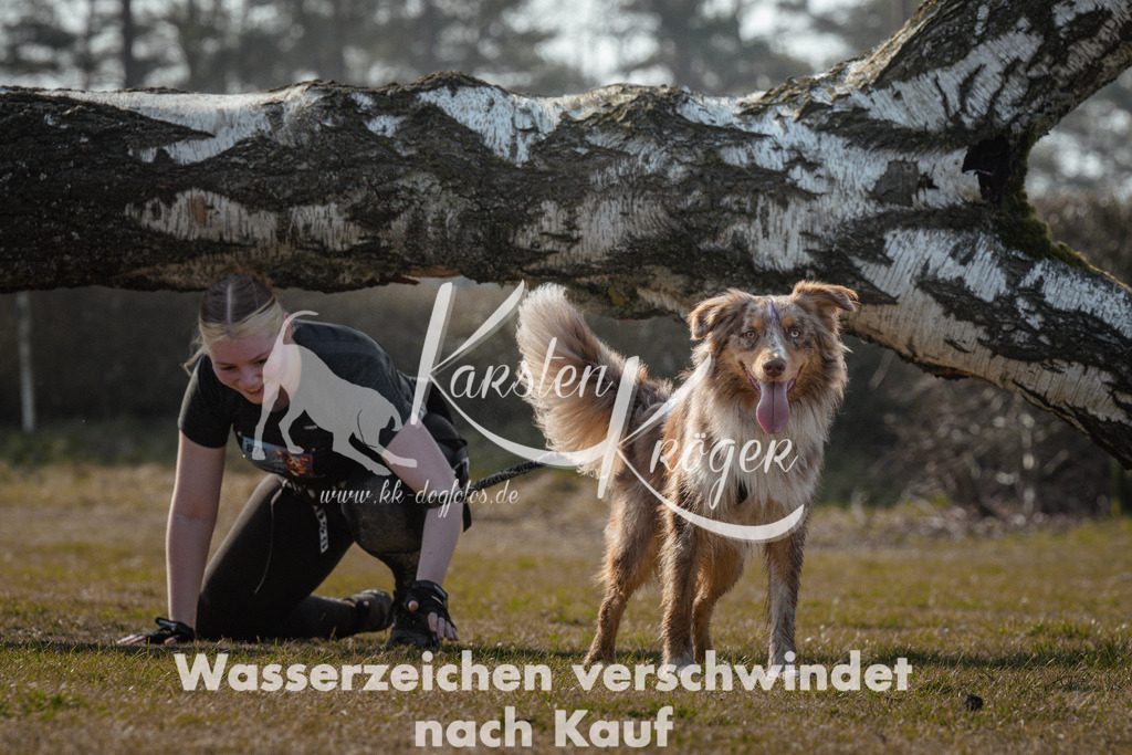 1104_ZZ94430 | kk-dogfotos