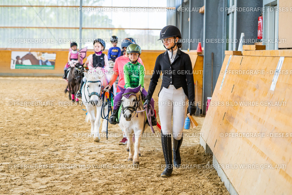 DSC00364 | Pferdegrafie