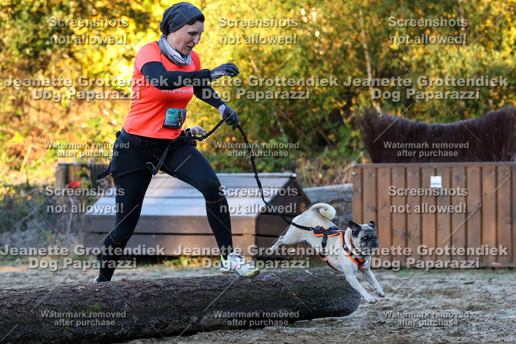 Dog Paparazzi - Strongdog 10-25-552 | Dog Paparazzi Jeanette Grottendiek Fotografie & Videografie - Realisiert mit Pictrs.com