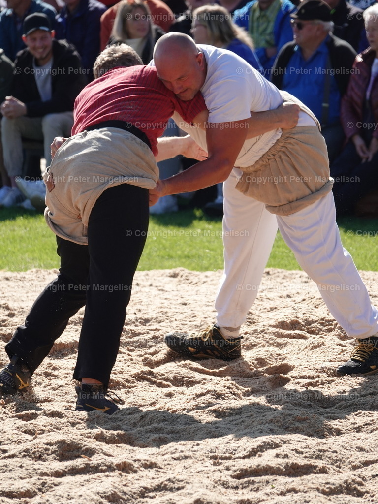 DSC05567 | Schwingen - Realisiert mit Pictrs.com