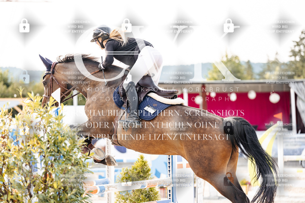 CK907089 | Turnierfotografie Pferdefotografie Trier Rheinland-Pfalz Pferdesport Reitsport Tierfotografie Sportfotografie Pferdevideo Pferdevideografie Equestrianvideography equestrianphotography  - Realisiert mit Pictrs.com