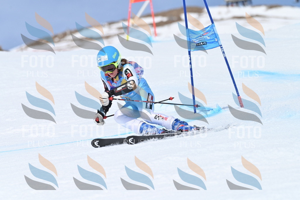 BGV_1798 | holidayphoto