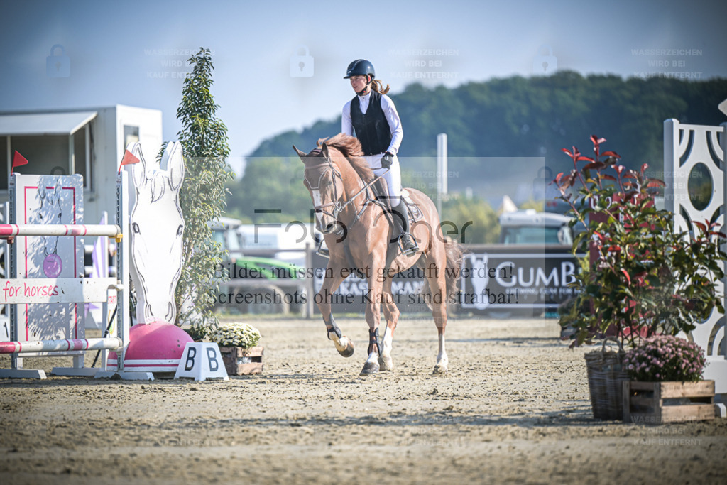 DOS_0126 | Entdecke hochwertige Reitturnierfotos von Foto Oger. Professionell, emotional und authentisch – jetzt Lieblingsmomente im Shop bestellen. - Realisiert mit Pictrs.com