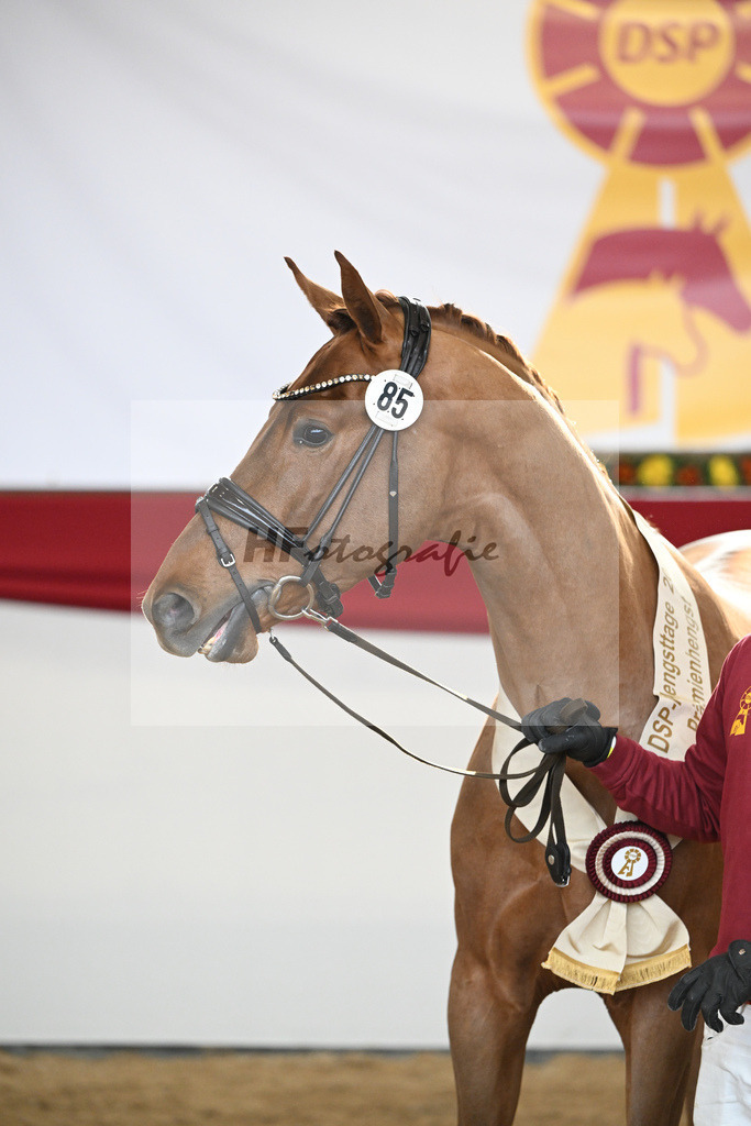 Kat.-Nr. 85 v. Vitalis_Wiens_2251988 | hf-fotografie - Realisiert mit Pictrs.com
