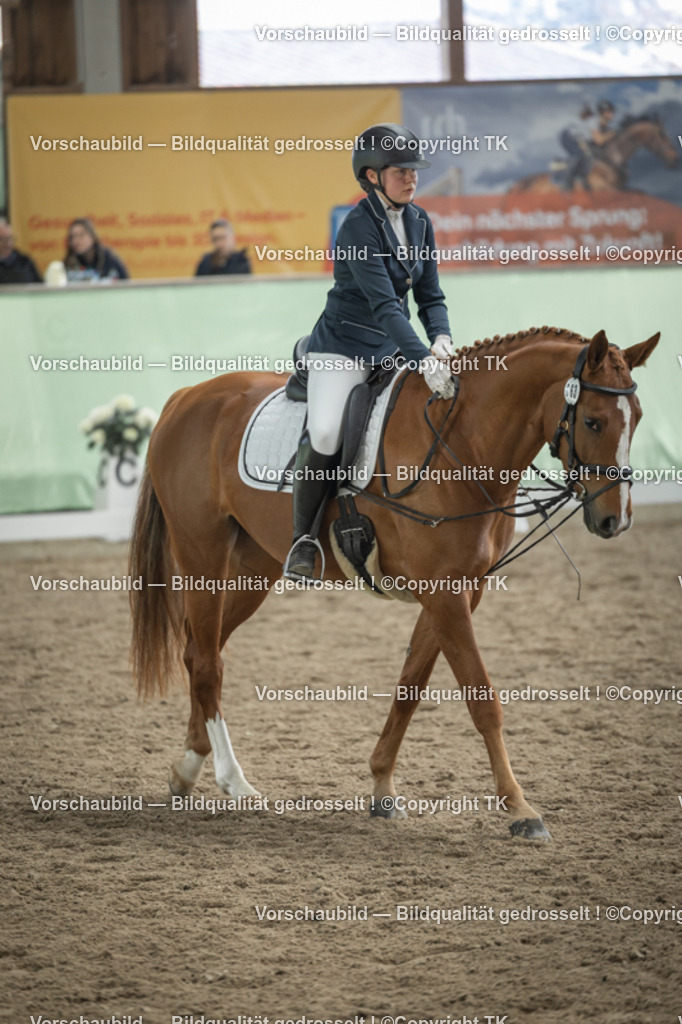 _D5A5630 | Emotionale Pferde- & People-Fotografie rund um Heidelberg, Leimen & Umgebung. Natürliche Fotos von Pferd, Mensch & Familie. Jetzt Termin sichern!