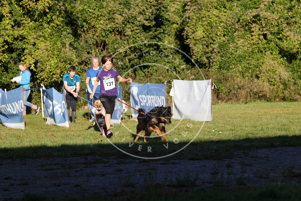 0L8A4823 | Hundefotografie, Tierfotograf, Pfotenfotografie, Fotoshooting Hund, Hunde Portrait, Hundesport, Hundeportraits, Heideshooting, Hunde, Sportfotograf, Hundefotograf, Turnierhundsport, THS,  - Realisiert mit Pictrs.com