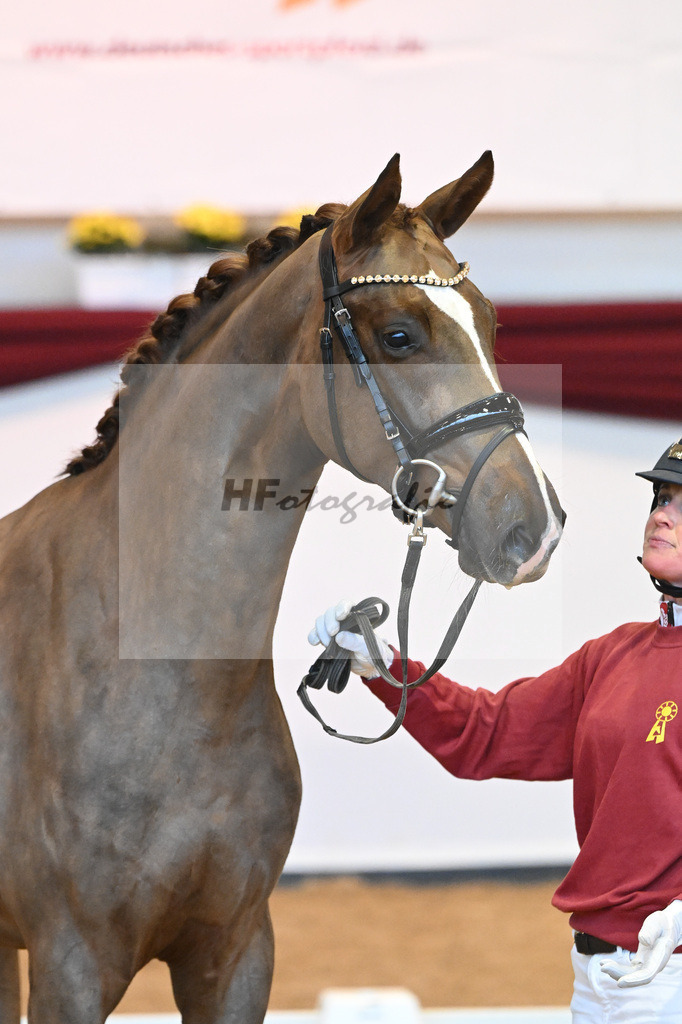 Kat-Nr. 4 v. Benicio_Galneder_66220019 | hf-fotografie - Realisiert mit Pictrs.com