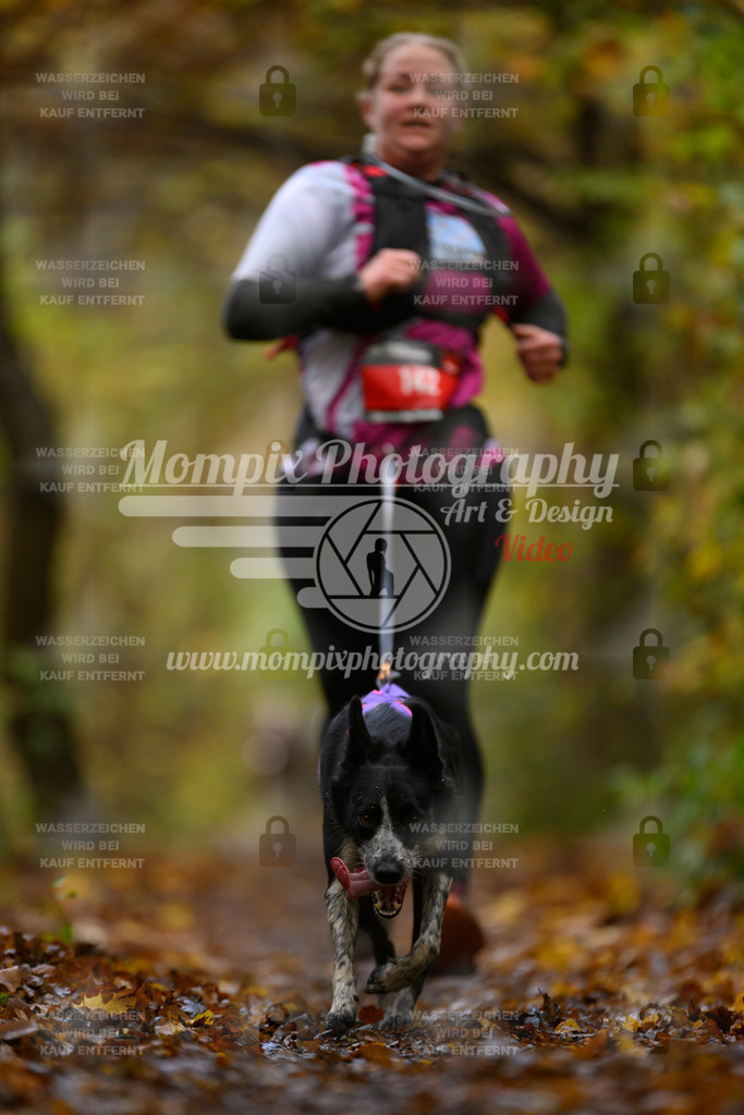 MompixPhotography_CD7S_DI_CCL-151 | mompixphotography