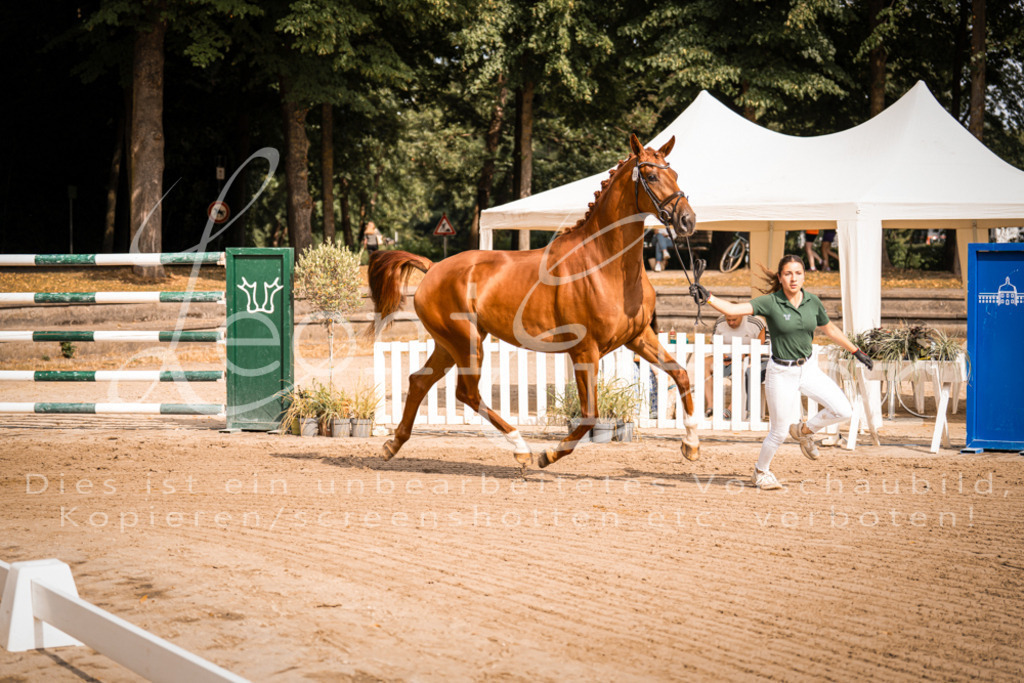 FrER00069 | Leoni Ertmer Photography - Realisiert mit Pictrs.com