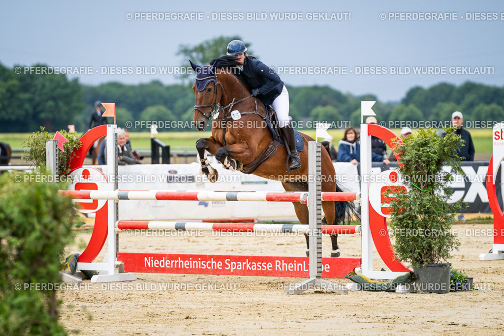 DSC03989 | Pferdegrafie