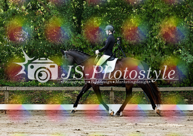 20250726_Dressur-E-8 | JS-Photostyle - Sport-/Portrait- & Eventfotografie