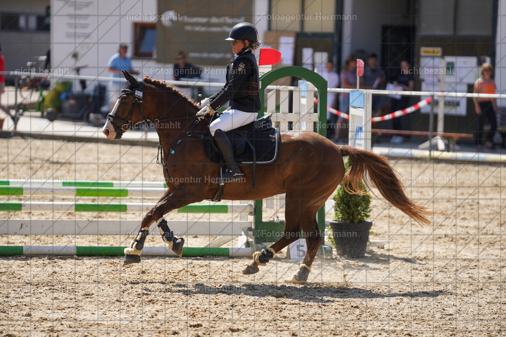 20240824-FAH08165 | Thierhaupten 2024, Bayerisches Landesponyturnier, Turnierbilder, Ponybilder, Turnierfotografen Bayern, Fotoagentur Herrmann