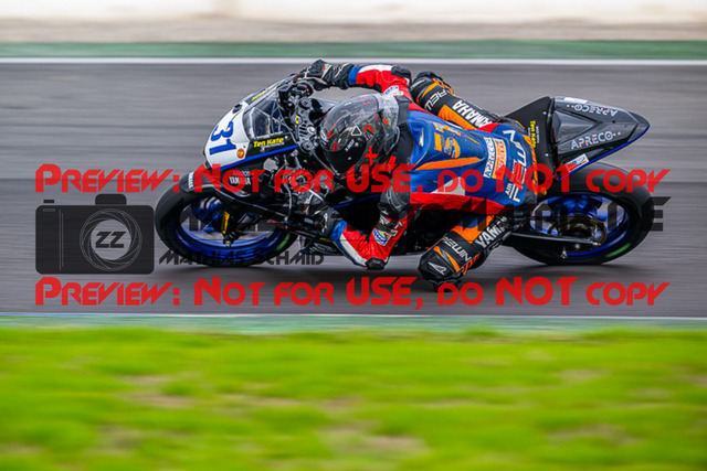 MaZZes_FotoMatrix_220924_8719 | IDM300