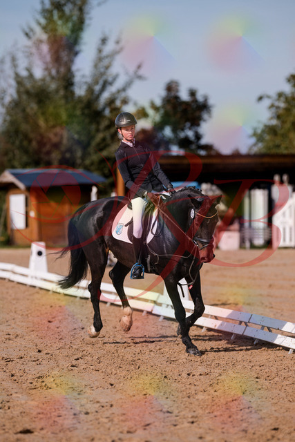 2026_10_03_Siefer-Hof_115749_Z81_98862028 | Professionelle Reitsport-, Turnier- und Eventfotografie von Robert Broda. Galerien mit ausgewählten und bearbeiteten Bildern direkt online ansehen und bestellen.