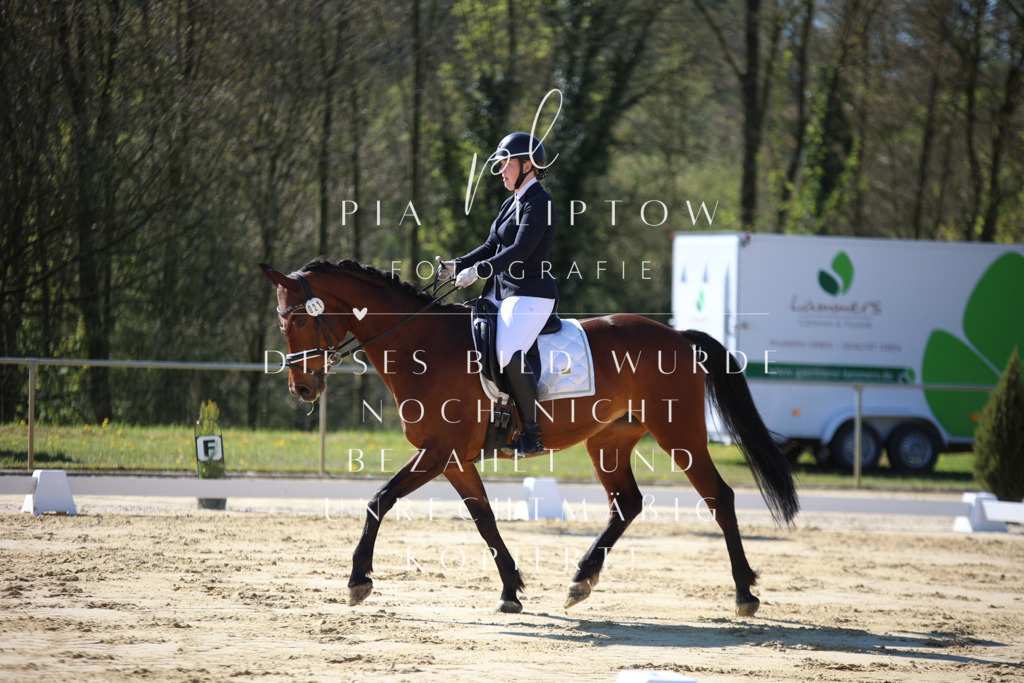 IMGT9422 | pl-fotografie