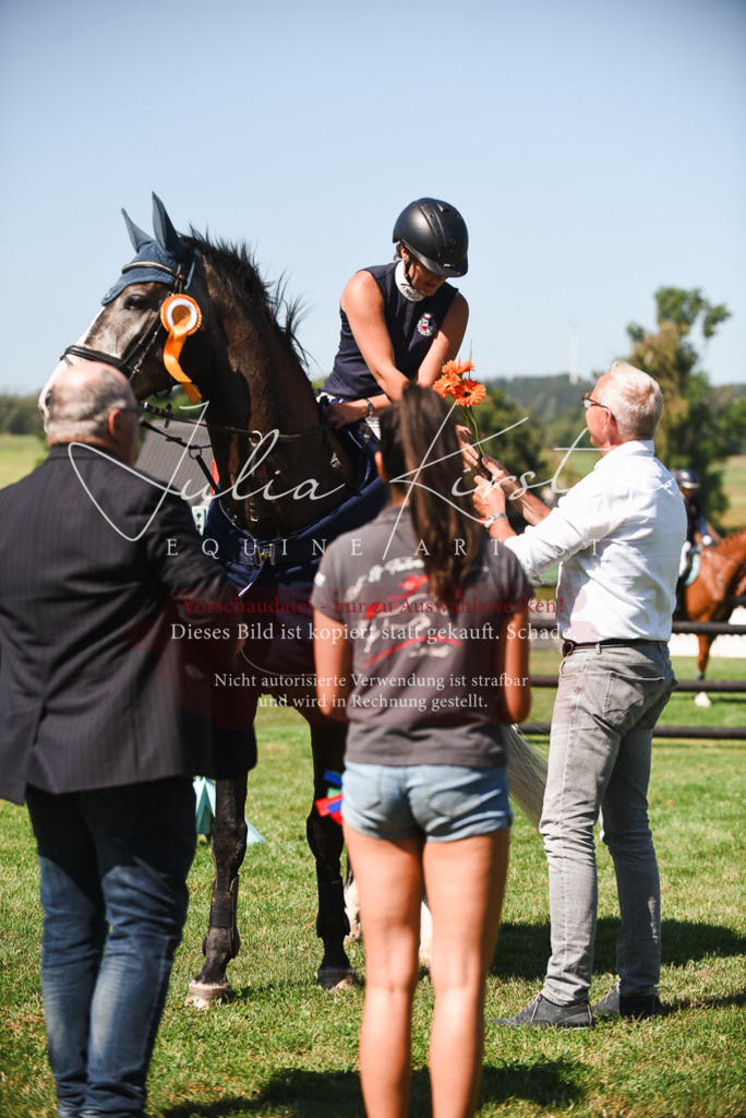 DSC_2928 | Pferde- und Turnierfotografie in Westsachsen. Pferdeportraits, Auftragszeichnungen und intuitive Kunst.