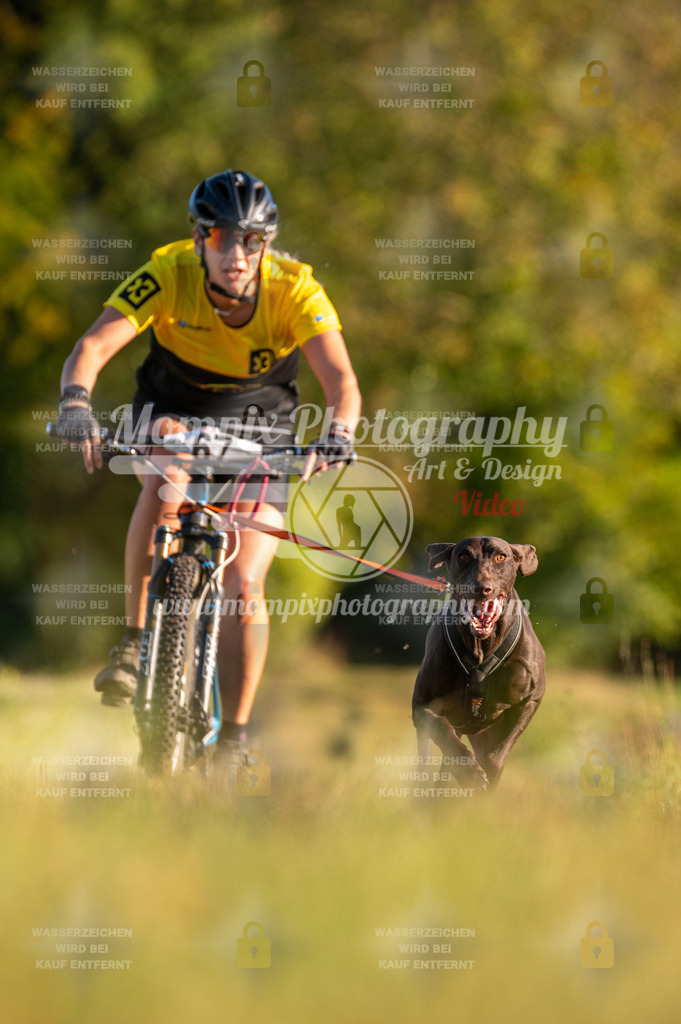 CDLBDB_15_10_2023_Dimanche-153 | PayLife