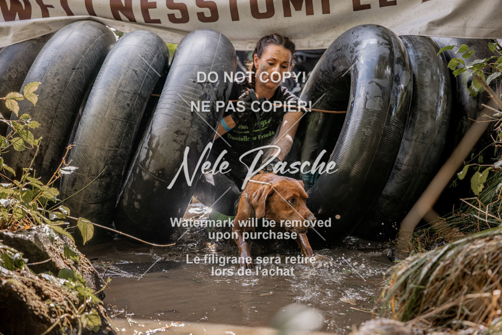 nelerasche_Hunsrück2026_Sa1400-1500_383 | nelerasche