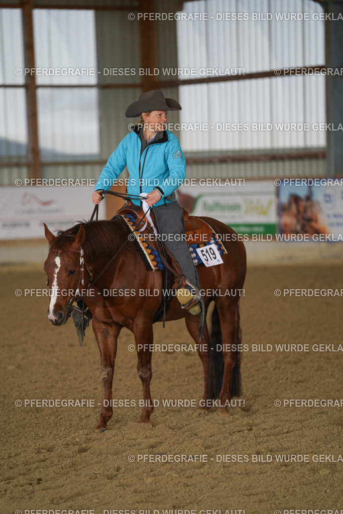 DSC08911 | Pferdegrafie