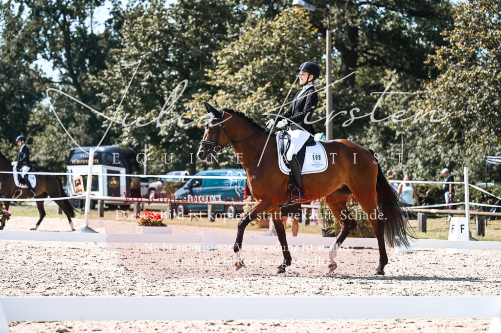 DSC_5037 | Pferde- und Turnierfotografie in Westsachsen. Pferdeportraits, Auftragszeichnungen und intuitive Kunst.