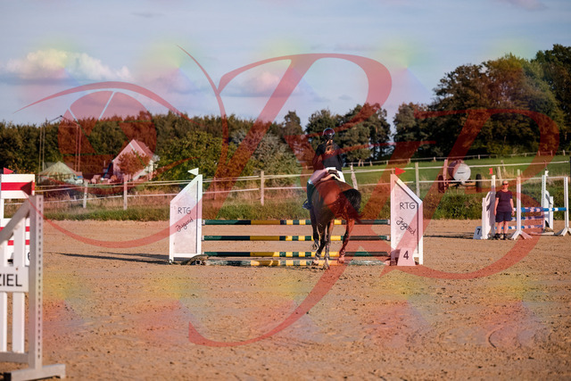 2026_10_03_Siefer-Hof_170858_Z81_05547693 | Professionelle Reitsport-, Turnier- und Eventfotografie von Robert Broda. Galerien mit ausgewählten und bearbeiteten Bildern direkt online ansehen und bestellen.