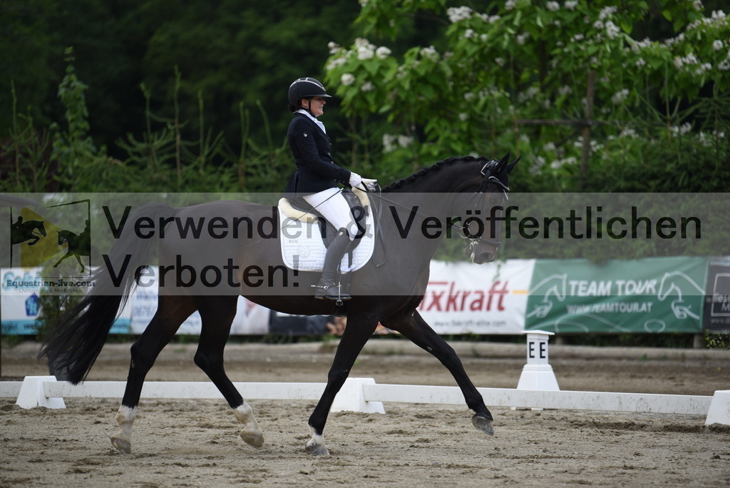 DSC_6299 | equestrian-live-com