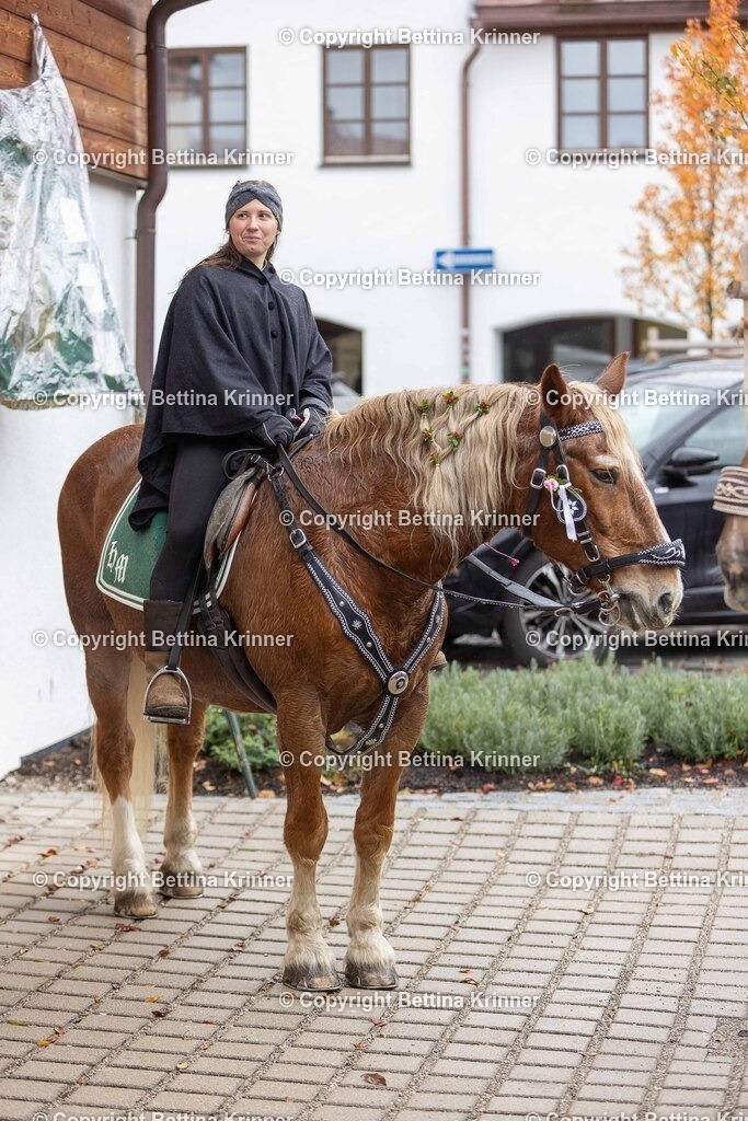 LL25-327 | foto-bettina-krinner - Realisiert mit Pictrs.com