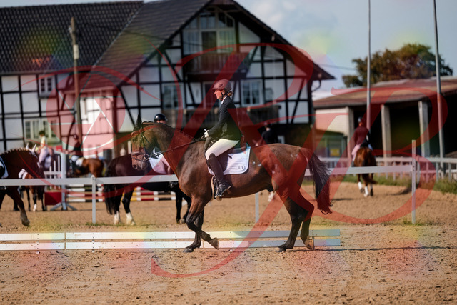 2026_10_03_Siefer-Hof_122701_Z63_47857041 | Professionelle Reitsport-, Turnier- und Eventfotografie von Robert Broda. Galerien mit ausgewählten und bearbeiteten Bildern direkt online ansehen und bestellen.