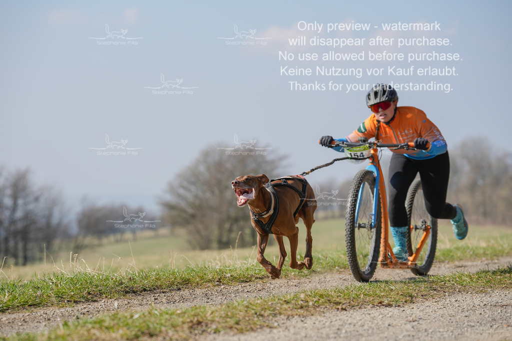 Scooter_Lang-91 | stephaniefillaphotographie - Realisiert mit Pictrs.com