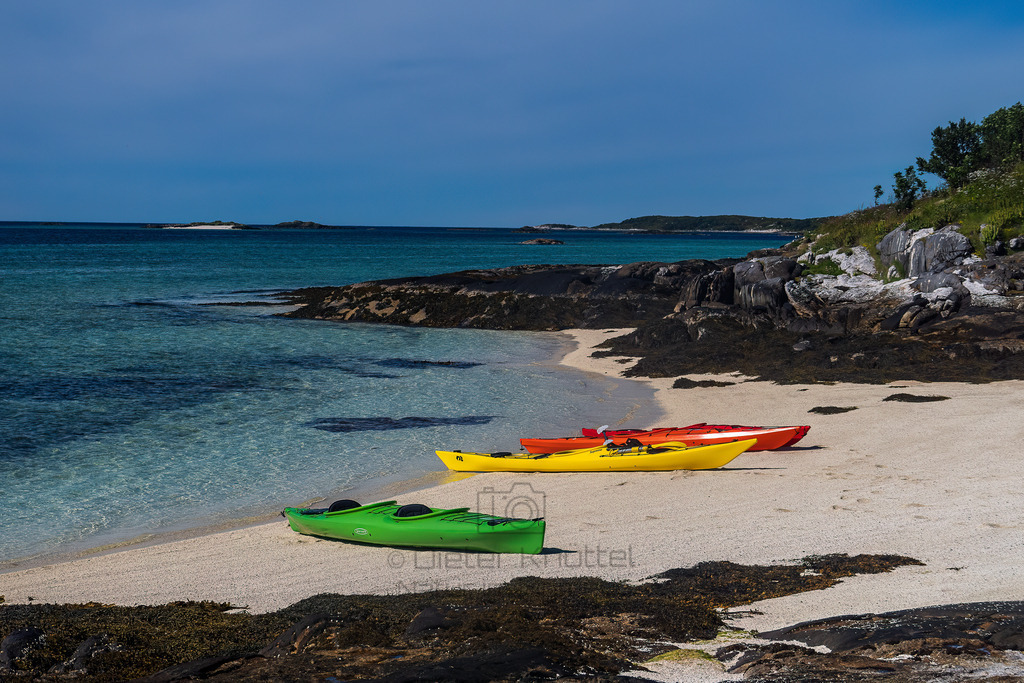 P1004232-Bearbeitet-2022-LR | Natur im Moment - Realisiert mit Pictrs.com