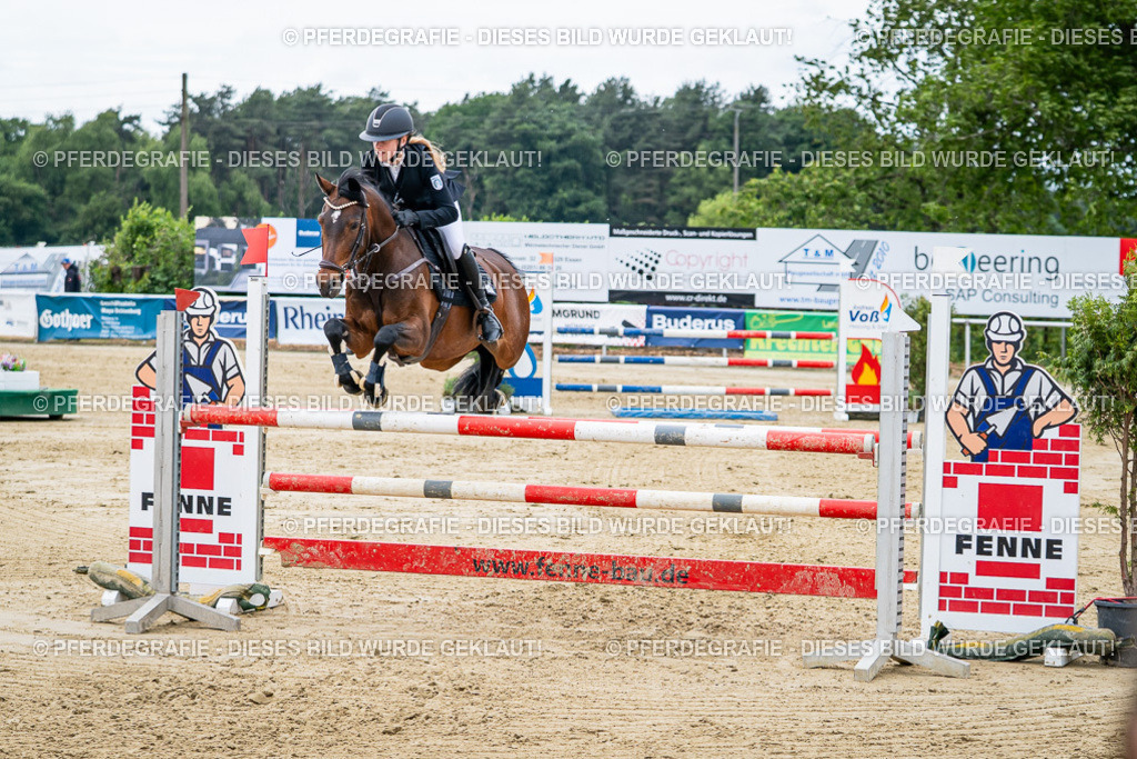 DSC05520 | Pferdegrafie