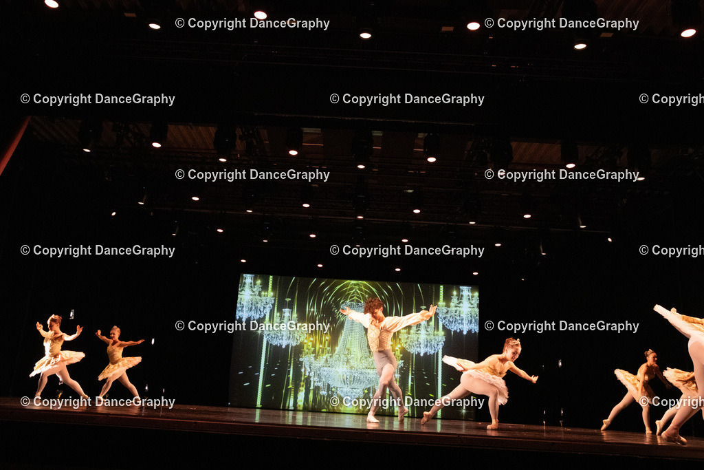 GPHY6546 | DanceGraphy - Realisiert mit Pictrs.com