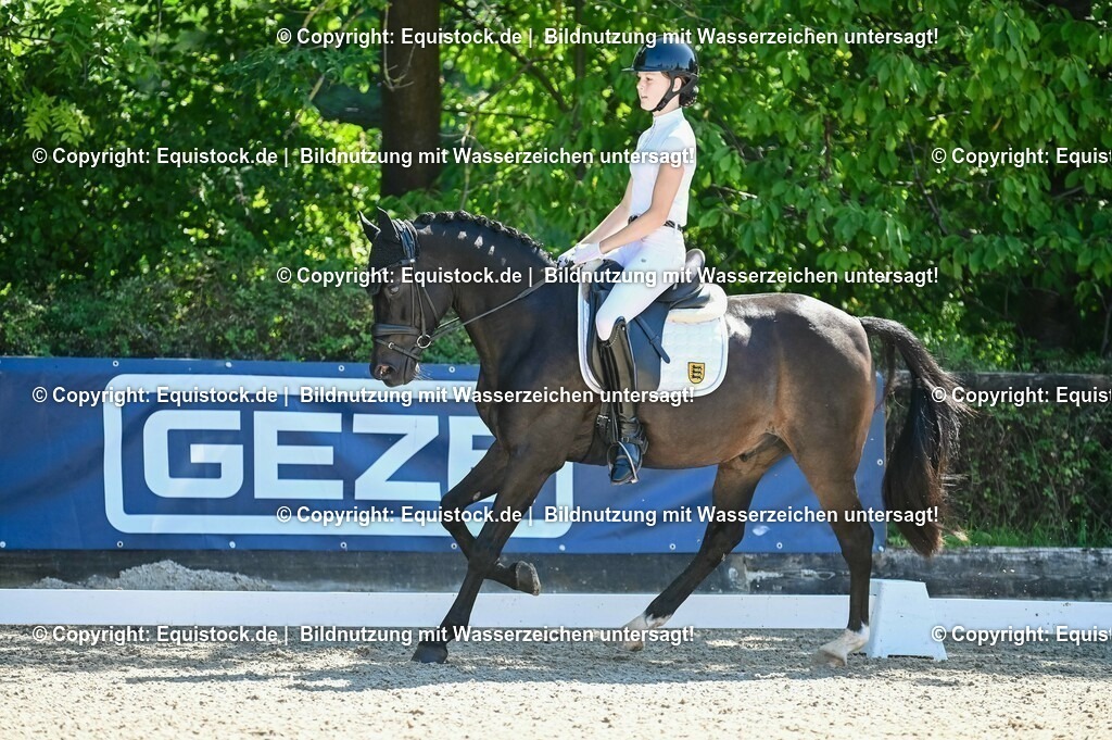 20230908_06_Dressur-L-Trense_0623 | equistock