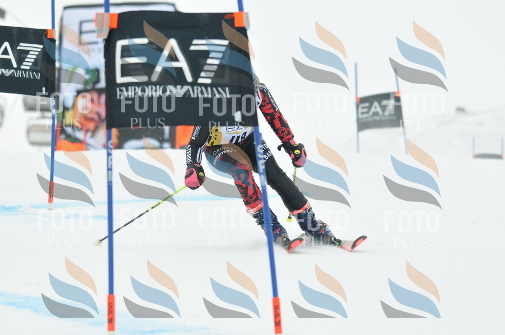 DSC_8201 | holidayphoto