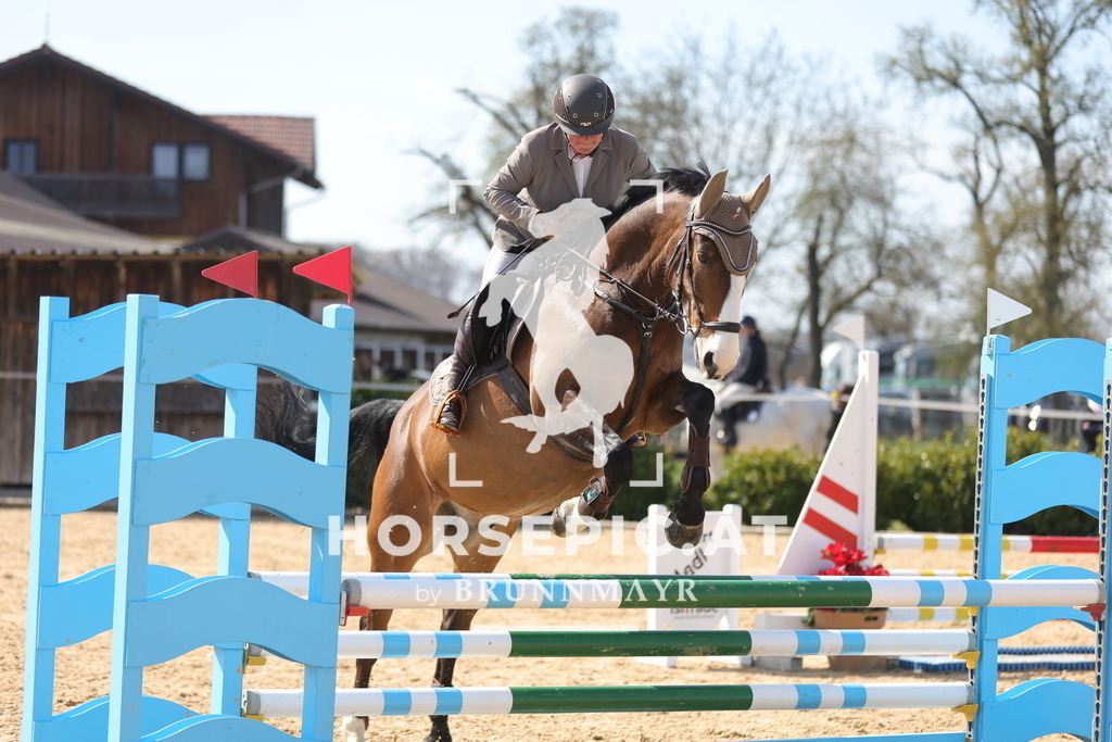 0P6A1633 | Willkommen bei Brunnmayr - Design & Fotografie – Ihrem Spezialisten für Reitturniere und Pferdeveranstaltungen in Oberösterreich, Salzburg und Bayern! Seit über 17 Jahren sind wir leidenschaftlich dabei.