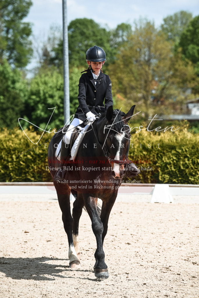 20230518_JK-Röhrsdorf-11-0710 | Pferde- und Turnierfotografie in Westsachsen. Pferdeportraits, Auftragszeichnungen und intuitive Kunst.