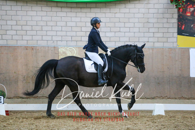 IMG_2662 | Turnierfotos kaufen im Webshop von Daniel Kuhl Photography – entdecke professionelle Reitsportfotos aus Turnieren & Events. Hochwertige Turnierbilder online bestellen & sichern. Jetzt Fotos von Reitsportturnieren kaufen!