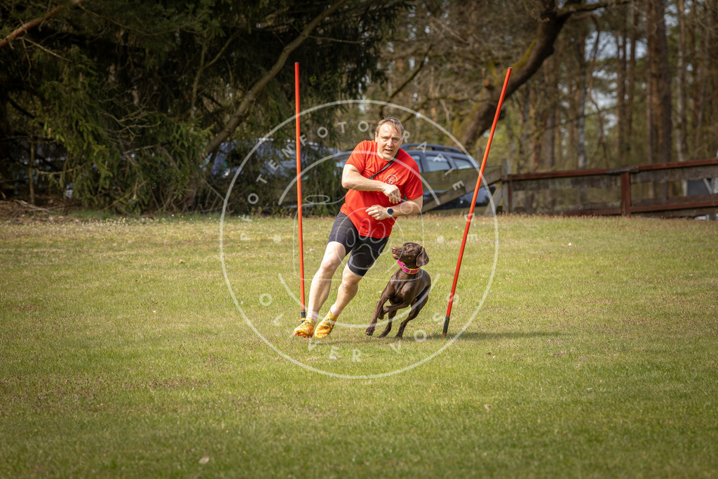 Pfotenfotografie_DV3A7072 | Hundefotografie, Tierfotograf, Pfotenfotografie, Fotoshooting Hund, Hunde Portrait, Hundesport, Hundeportraits, Heideshooting, Hunde, Sportfotograf, Hundefotograf, Turnierhundsport, THS,  - Realisiert mit Pictrs.com