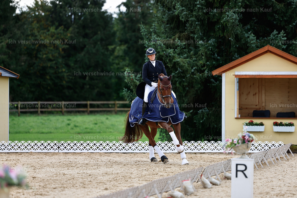 10-Siegerehrung-ST.GEORG SPECIAL -StoibPH-3308 | working equitationturnier fotograf videograf stoibphotography marixx film working equitation deutschland reitsport turnierfotografie eventfotografie equestrian events